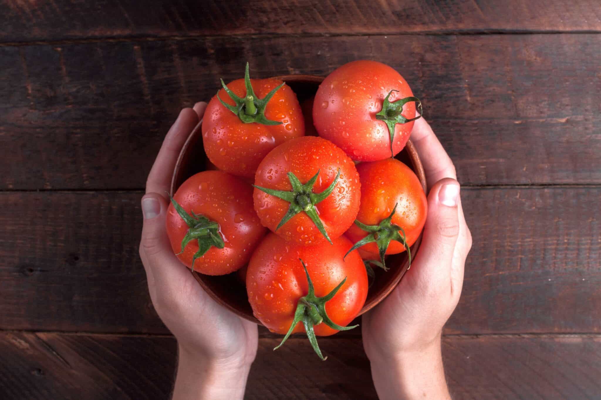 Can Chickens Eat Tomatoes? All You Need to Know