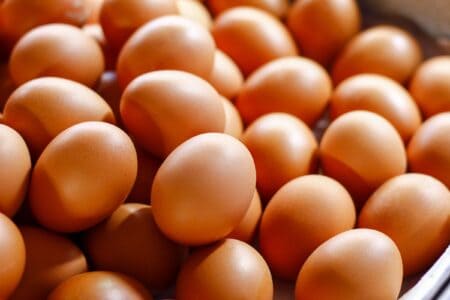How Are Chicken Eggs Fertilized? - 13 Most Asked Questions