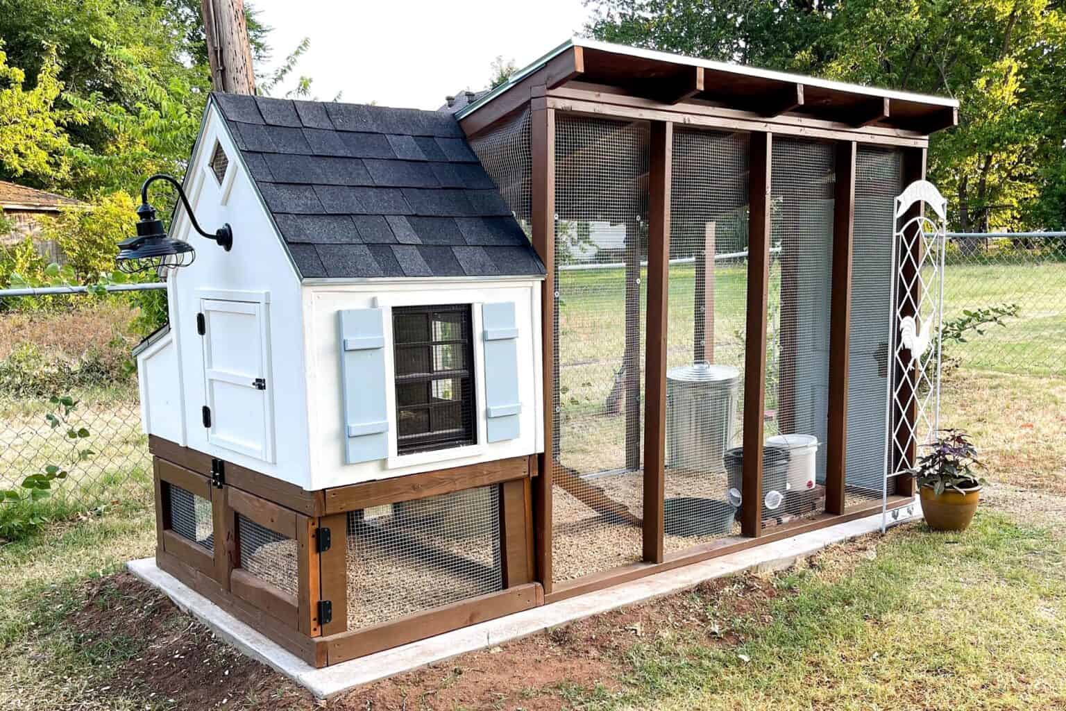 How Much Space Do Chickens Need? (Square Feet Per Chicken)